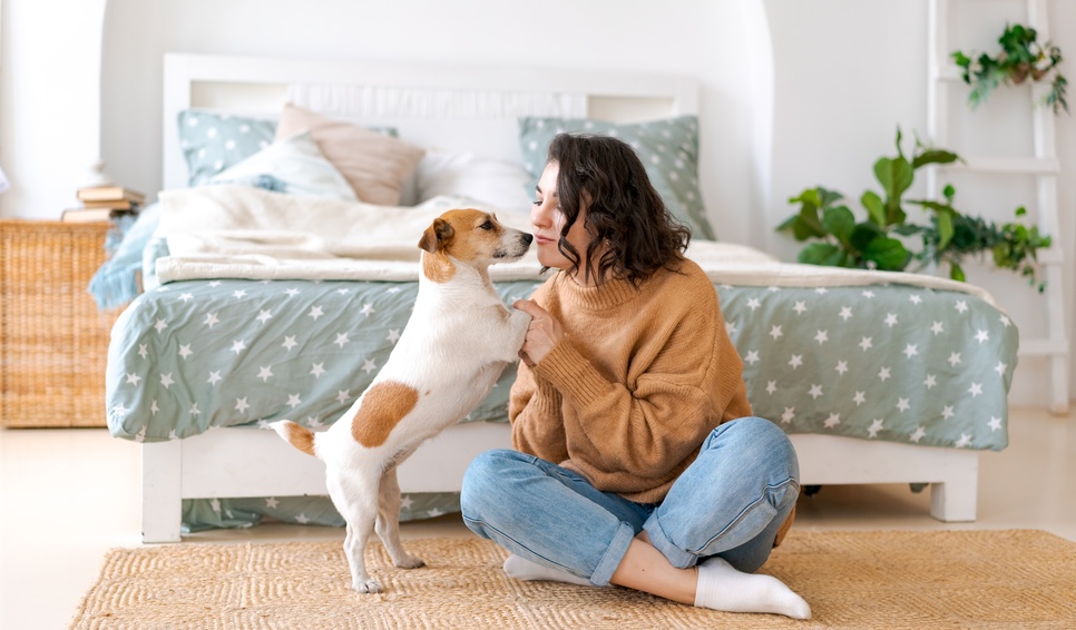 Animais de estimação: como manter a limpeza da casa