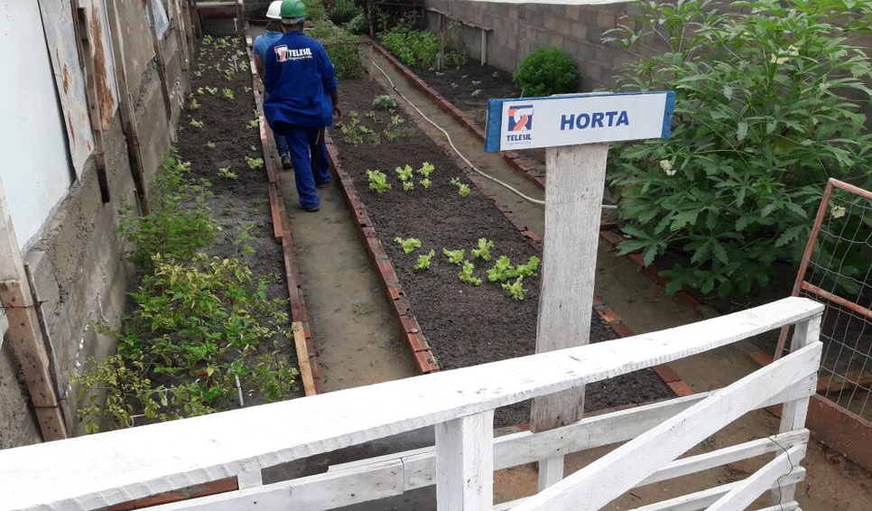 Horta - Canteiro de Obra